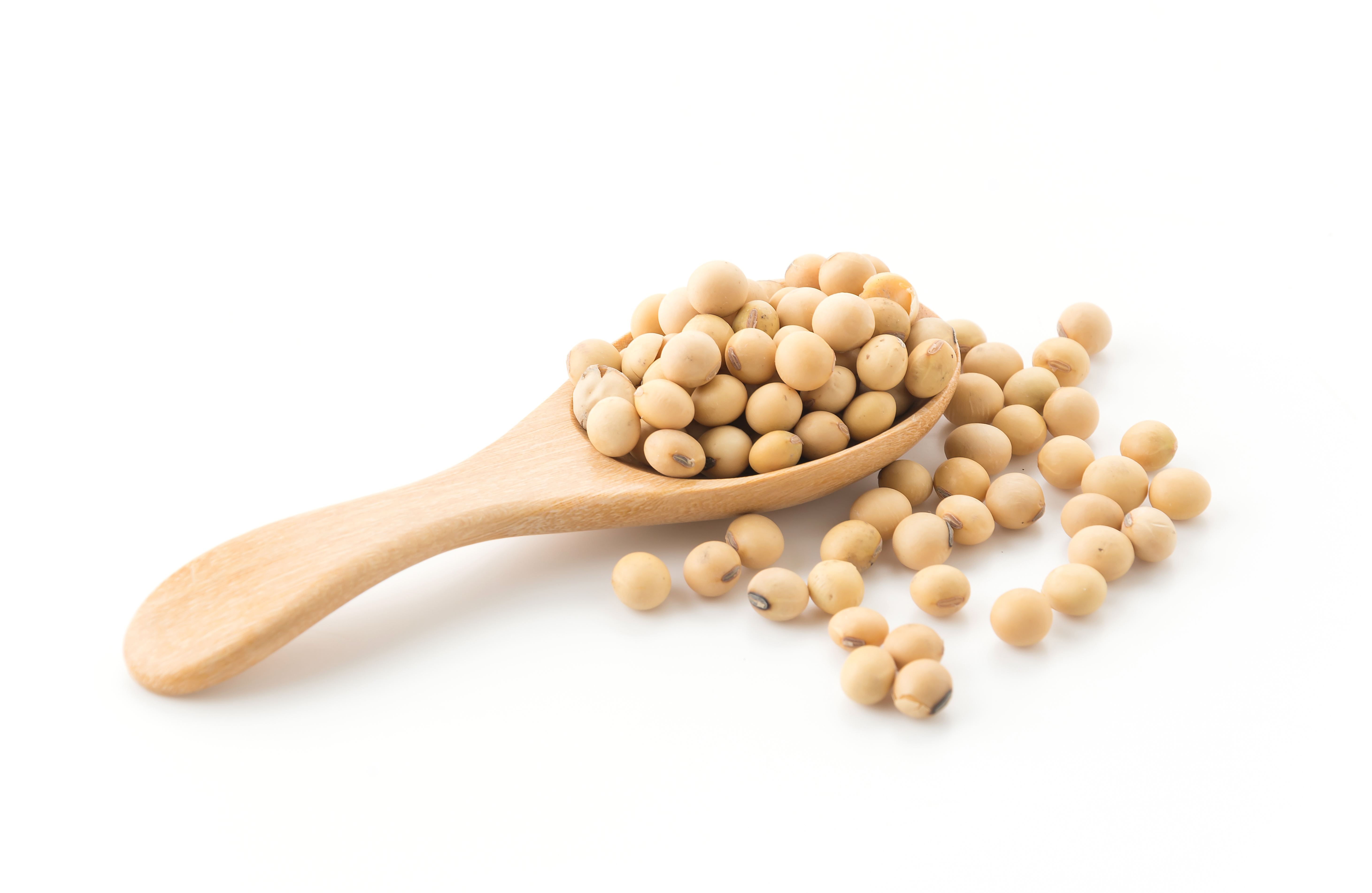 Soy Protein Concentrate
